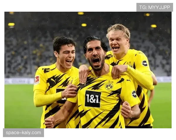 德甲电竞联赛决赛落幕，多特蒙德粉丝代表夺冠